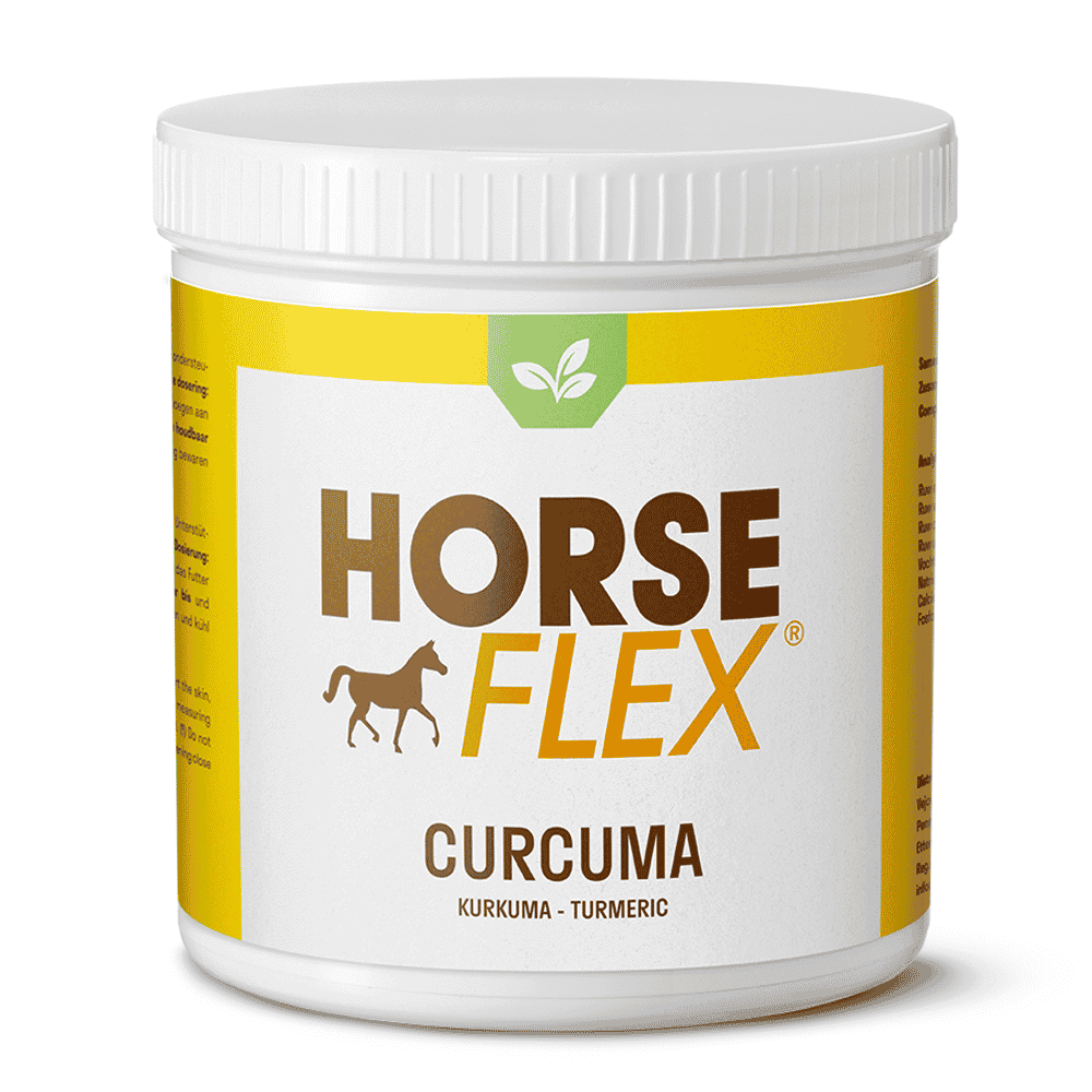 Turmeric for horses Powerful natural antiinflammatory