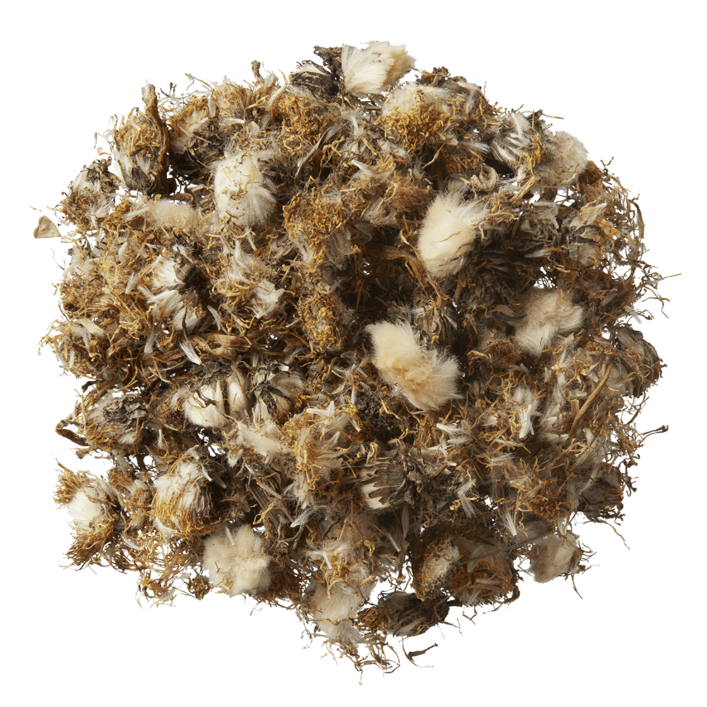 Dandelion for horses HorseFlex